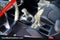 2024 Kia Forte GT-Line KIA CERTIFIED!!!