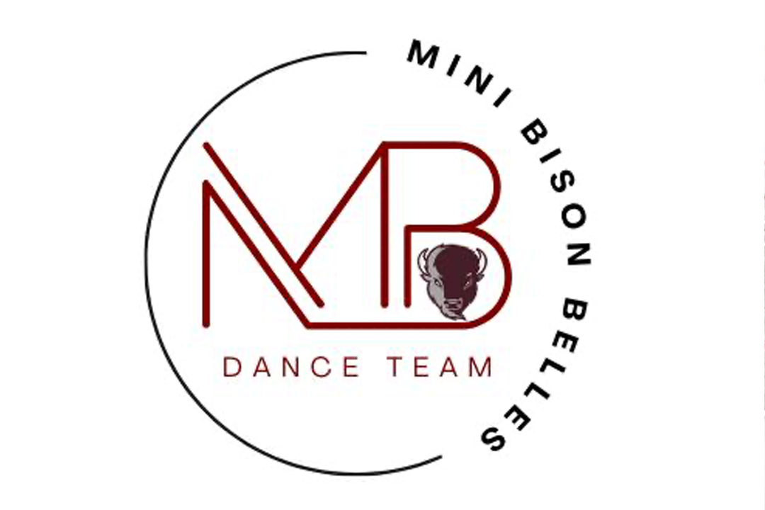 Mini Bison Belles